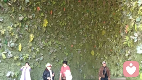双向情感障碍解析