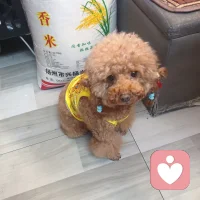 爱情是最强烈的情感，真正的爱情只能发生在两个心理，思想完全成熟的人身上。一见钟情很可怕，因为过于强烈。当我们沉迷一段感情里的时候，我们爱的真的是这个人吗？还是爱上了自己的幻想？还是爱上了心中一个完美的投射？所以很多夫妻同床异梦，现代婚姻需要的是轻情感，而重接纳。
