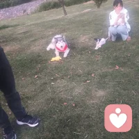 爱生活，羴羴心理工作室，传递幸福的使者

项目：生活中找回自己的热爱，唱歌，跳舞，聊天，看日落，听音乐，弹吉他，非洲鼓，吹口琴，放风筝，撸宠物，陪孩子，吃美食，天然氧吧，寻回生活的热爱，体验幸福的感知力。

地址：大自然
人群：志同道合的群体配图