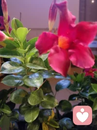 不要迷失自己
人常常会在各种跟风中迷失自己，比如看到某些人做生意，自己也想去做，看到有些人买房买车，自己也想去买，可是自己手头的经济条件是有限的，所以会陷入无限的烦恼中迷失了自己。当我们人到暮年的时候，才会突然醒悟到自己最想要的是什么。其实人常常是曾经最缺什么，就会过度地追求什么，有时甚至有些执着

仔细想想，我们想要的真正是什么？别人有的不一定是我们真正需要的。往往走着走着把自己弄丢了，一定要记着及时把自己找回来，及时关注自己的感受、自己的需求、自己的健康。其他的都是浮云，甚至是过眼烟云

关爱自己，时刻觉察我真正想要的是什么