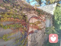 人是信念動物， 你認為自己好，就會越來越好；你認為自己不好，就會越來越不好。

改變信念，積極暗示，?行動起來????????