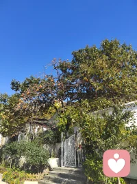 不?要需??為自身?情的??緒與“敏感?而”??自卑。????

真正?強的??大，?對絕??不是永?不遠??崩潰，而是擁有在?潰崩??后重建的能力。????
不必?備責??自己?外對??界?“的??敏感”，敢于保持敏感?走、??入世界?是，??另?種一??強大。????