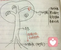 创伤不重视,关系(夫妻关系、亲子关系等)就会摇摇入坠,冲突不断;一旦关系出了问题,一个家庭言行问题便会层出不穷。