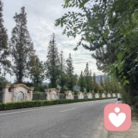 🏃今天跑了一个小环线
四周环山 一年四季
附近的山一座座去探索