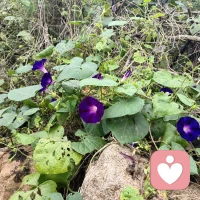 🏃今天跑了一个小环线
四周环山 一年四季
附近的山一座座去探索