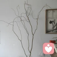 我们必须要学会如何有觉知、负责地去感受和表达我们的感受，

这不会对其他人造成伤害。

学校应该教授这门课程，

父母们应该受到这样的教育，

才不会无觉知地把自己的痛苦传给孩子。