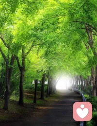 为尔，

我为你能提供的最重要的支持,

是人与人之间的互动,

是我给予你充足的时间,

并以一种纯粹的、专注的、不打扰的、认真的精神去试着理

解你的感受。