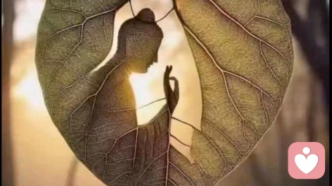 拿回主体性