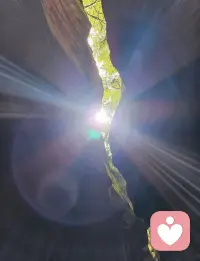 万物皆有裂痕，

那是光照进来的地方。

每个人的心都有缺口，

那是成长发出的邀请。配图