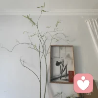 去田野散步，
看到柳树上的一根枝条被掰断半截，
然后我就不费力的把它扯下来带回了家。

一顿修剪，
打造出现在这样的造型。

然后，
插进花瓶，
经过时间的陪伴和我的见证，

从旧叶枯黄落败，
底部膨出许多白色芽点，
到白色根须蓬勃爆发，
顶端开始长处清新绿色的嫩叶。

呵呵，
别提我内心的喜悦。

这里面有我的智慧，
我的创造性调整，
我的陪伴，
我的耐心与等待。

呵呵，
遇见美好。

与你分享。