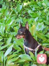 “山有頂峰，湖有彼岸，在人生漫漫長途中，萬物皆有回轉(zhuǎn)，當我們覺得余味苦澀，請你相信，一切終有回甘”。配圖