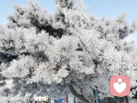 用单纯的眼光看待人生，将少掉许多莫名的烦恼；用幸福的脚印丈量生活，步履会轻盈洒脱；用感恩的心去面对帮你的人，会发现人间真的有许多无私与美好。 ​配图