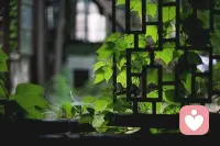 爱是一块缺失的拼图，等着我们去寻找，当你真的找到它，你才能最终看到你人生的全貌。 ​配图