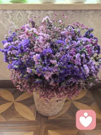 不是每个人都能成为，自己想要的样子，但每个人，都可以努力，成为自己想要的样子。相信自己，你能作茧自缚，就能破茧成蝶。 ​配图