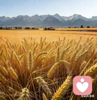 愿这世上所有的相遇 都是久别后的重逢 希望见面的那一刻 你我别来无恙