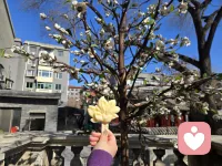 因为有明天，今天永远只是起跑线。生活简单就迷人，人心简单就幸福。 ​