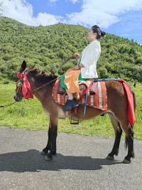 有時思維先站定，規(guī)劃著“該冷靜”“要理性”，情緒卻在腳邊繞圈，踢踢踏踏撒著小脾氣，非要等思維蹲下來，聽它說“其實我有點怕”“其實我很在意”，才肯慢慢安靜。
不必急著讓誰領導誰。它們吵吵鬧鬧的模樣，才是最真實的你啊。做最快樂的自己，這才是人生！配圖