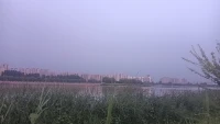 允許  接納配圖