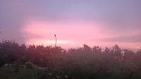 大腦會(huì)按照一個(gè)人最強(qiáng)烈，最明顯的愿望行動(dòng)。配圖