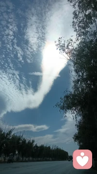 我救自己萬萬次  錚錚勁草  絕不動(dòng)搖配圖