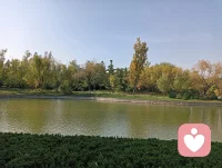 痛苦是覺醒的必經之路配圖