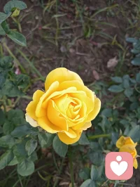 萬物美好，我在中央配圖