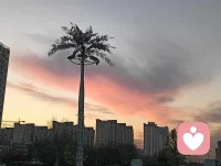 ?每一次呼吸都是溫柔提醒，你的存在，本身就是奇跡。配圖