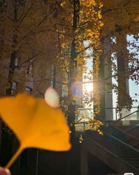 🍁²⁰²⁵/₀₈.₀₇ 𝑯𝒆𝒍𝒍𝒐 𝐀𝐮𝐭𝐮𝐦𝐧 “初凉挽夏意 新秋焕美好”