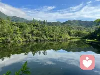 过雨看松色，
随山到水源；
溪花与禅意，
相对亦忘言。
🌿🍃🌱🍀