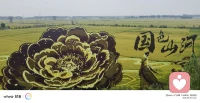【日日是好日】
不论抗压性高低，
都有化解压力的方法：
面对它、接受它、处理它、放下它。