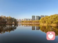 允許自己不是總在狀態，接納偶爾的低落與無力；完整的生命，本就包含光與影的韻律。與不完美的自己和解，是平和的開端。