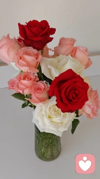 允許自己不是總在狀態，接納偶爾的低落與無力；完整的生命，本就包含光與影的韻律。與不完美的自己和解，是平和的開端。