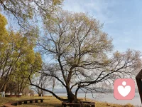 認知決定選擇，選擇決定命運。認知的邊界有多廣，能掌控的空間就有多大。只有不斷提升認知，才能在競爭激烈的世界突出重圍