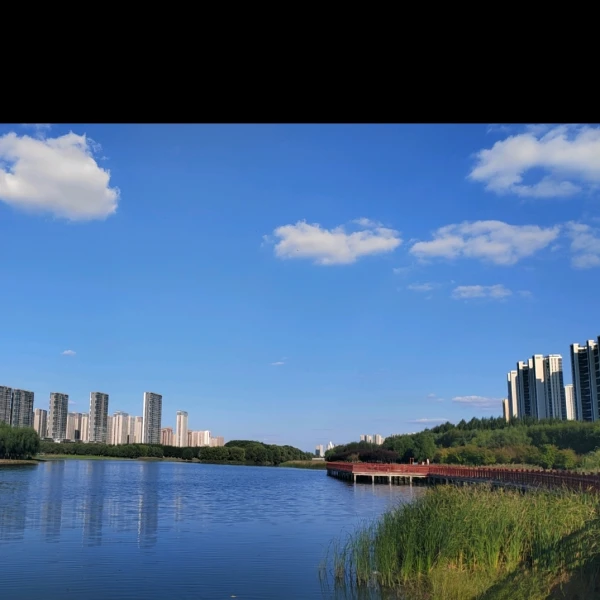 蓝莲花❤️心咨情感