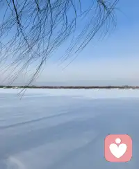 晨起窗外满眼雪，雪晴云淡日光寒。