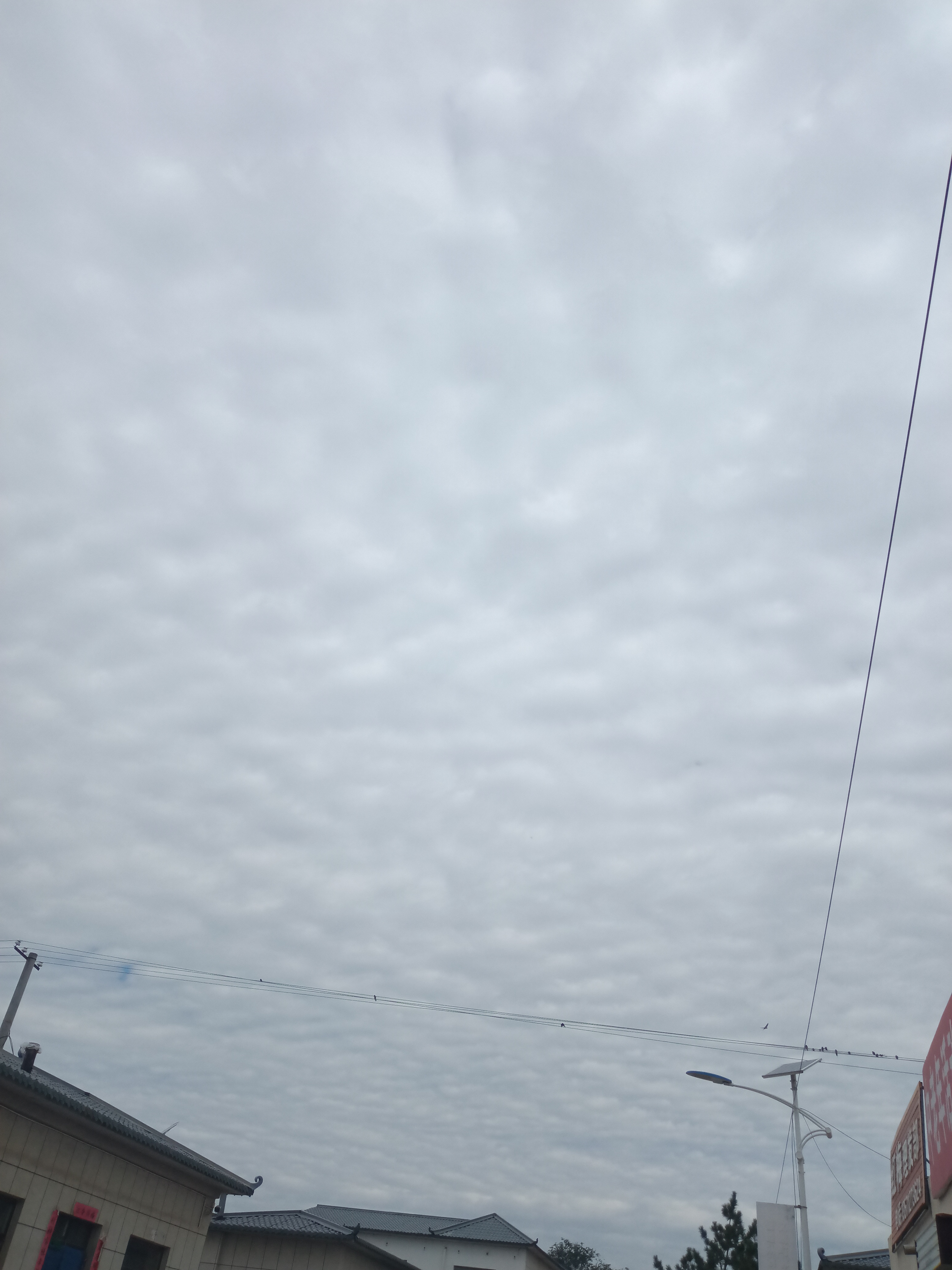 舍與得的回答圖片