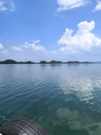 1我們無法改變過去已經發生的事件，只能改變該事件對我們的影響。
2欣賞并接納過去，可以增加我們管理現在的能力。
3我們都擁有內在資源以成功地應對和成長。
4承認和接納自己，對自己開始變得包容、有愛，對外在不夠好的部分的抗拒和壓抑才會慢慢減弱，改變自己不夠好的行為的力量才會逐漸增強。
5心靈成長的過程是看見自己，做自己的過程。配圖