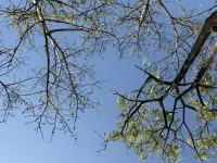不去過臨時(shí)生活，每一天都好好生活配圖