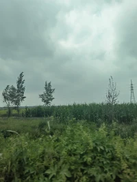 你需要我就在