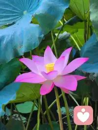 人间烟火味，最抚凡人心…✍
