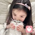 山的頭像