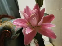 如果解決我比解決問題簡(jiǎn)單，那我也慶幸我沒讓你為難。至少這樣你不必在糾結(jié)里費(fèi)神，我也不必在“被放棄”里，反復(fù)確認(rèn)自己有多不重要。配圖