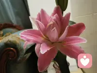 改变意味着重新排列我们的内在，让自己适应新的东西。我们可以重新安排自己，迎接新的挑战或完全不同的目标，或者朝另一个方向发展。