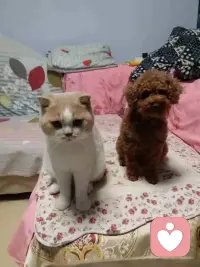 今日话题：“当男人突然意识到妻子才是最重要的人时，要么就是破产了，要么就是父母不在了，要么就是得病了。”
热评:“当女人突然意识到老公才是最靠不住的人时，要么就是钱自己赚够了，要么就是娃自己带大了，要么就是心已经死透了。”
