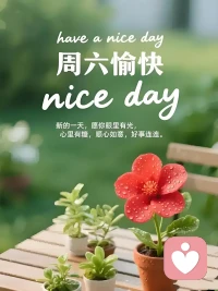 给情绪留一个温柔的出口，
让心事有处安放。
学会与自己和解，
风来听风，
雨来听雨，
皆是人间好时节。