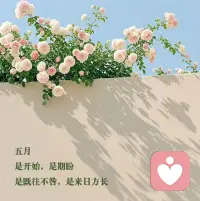 早安！五月！配图