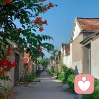单向付出的感情太疲惫，真心要给懂得珍惜的人，爱情是双向奔赴，不是独自硬撑，别让真心在失望里慢慢耗尽。配图
