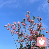 人生本就起落无常，绝望只是一时心境，不是一生结局。别困在当下的痛苦里自我否定，苦难是成长的养分，困境是觉醒的契机。看透得失，放下执念，心稳住了，再难的路，也能慢慢走通。配图