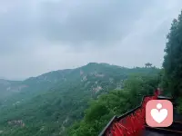 那些拧巴的思绪、焦虑的不安，终会随时光慢慢消散。放过紧绷的自己，放下无谓的思虑，专注当下，好好生活。你本就自带光芒，慢慢来，所有风雨都会成为成长的勋章，前路皆是温柔坦荡。配图