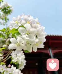 越长大越不敢随意倾诉，怕被说矫情，怕没人懂。
所有焦虑、委屈、纠结都悄悄憋在心里，反复自我拉扯。配图